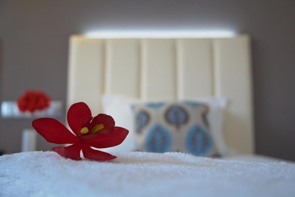 Hotel Azinheira By Ridan Hotels Fátima Rom bilde